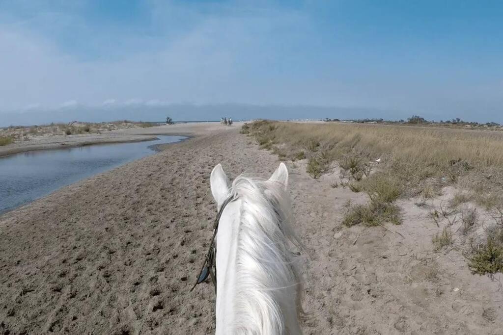 "Le Nature" Camargue Jardin Arles Eksteriør billede